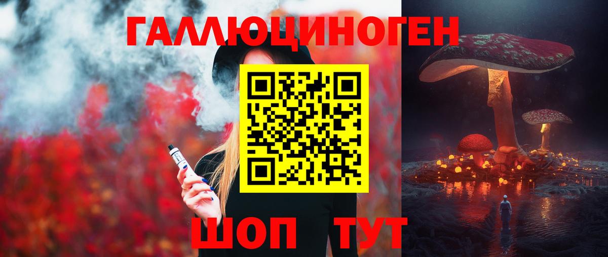 Псилоцибиновые грибы Psilocybe Урюпинск