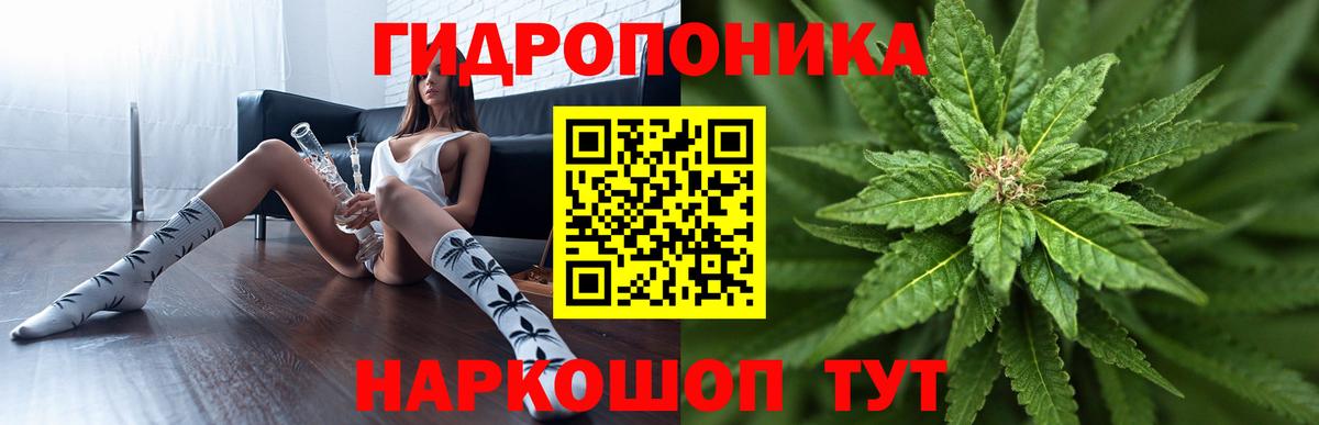 Конопля OG Kush Урюпинск
